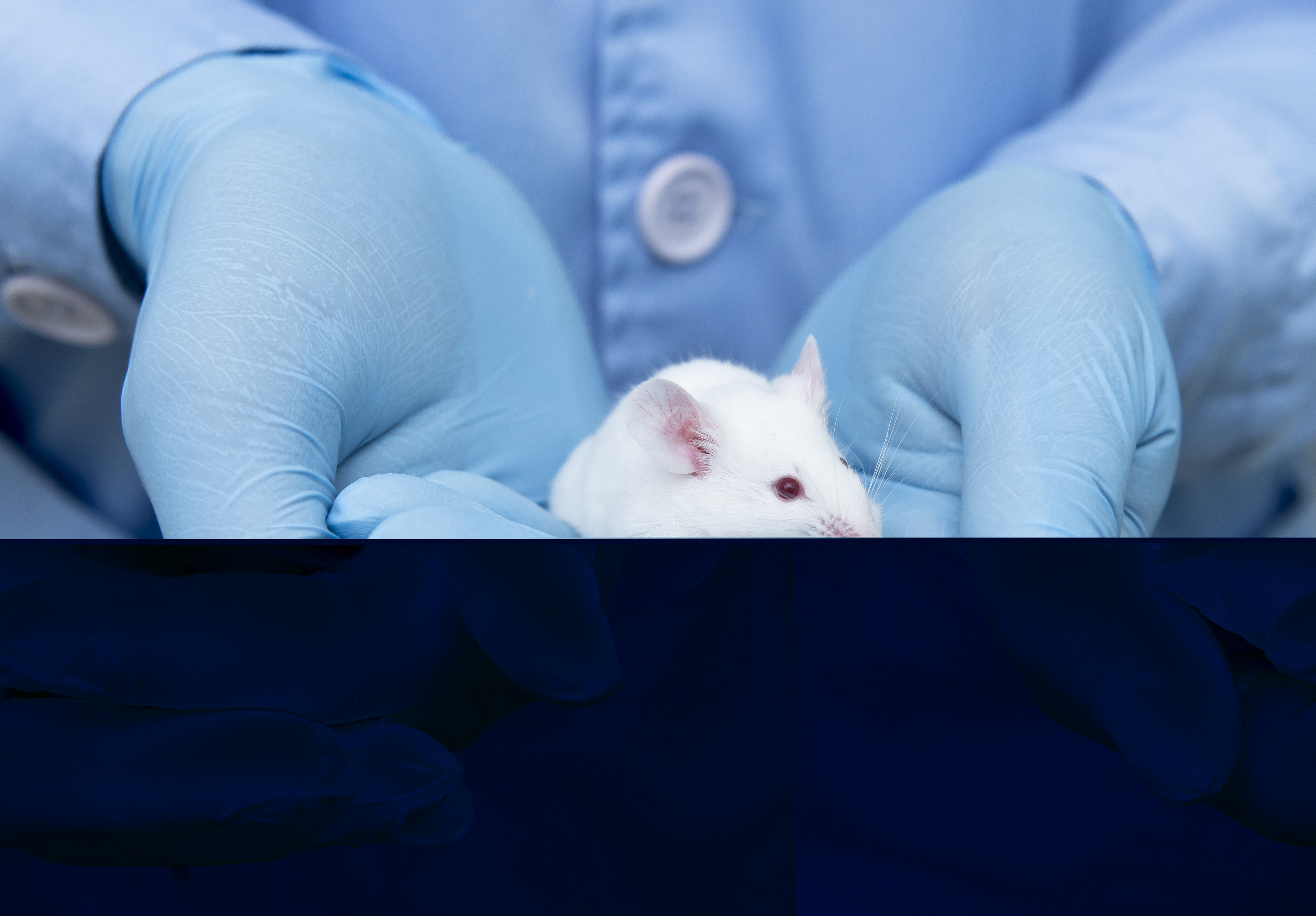 Institutional Animal Care and Use Committee | Rutgers Research Institutional Animal Care and Use Committee | Rutgers Research