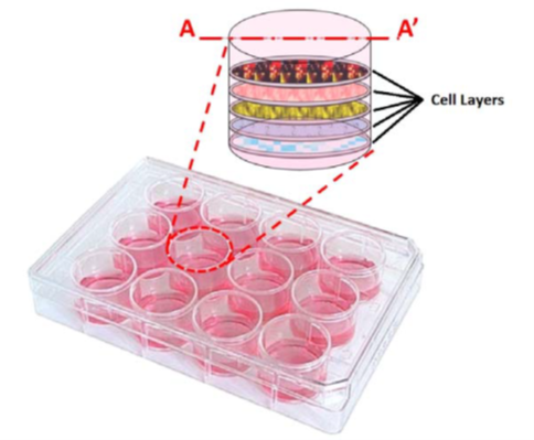Customized 3D-printed stackable cell culture inserts tailored with  bioactive membranes