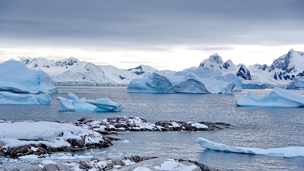 UConn-NASA-Sea Ice, Phytoplankton, Antarctic Peninsula | Rutgers Research