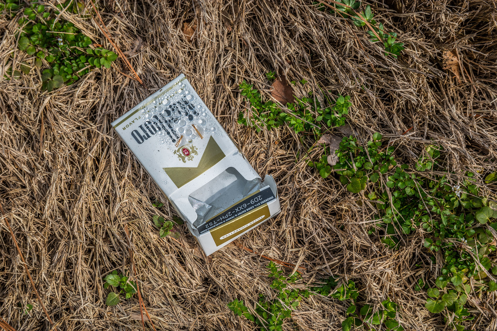 how did walt get the cigarette from jesse Breaking Bad: How Walter White Poisoned Brock and What Happened to the  Ricin Cigarette – Chrys Buckley