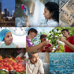 Research and Innovation Annual Impact Report