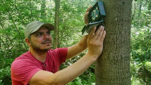 Researcher Angelo Soto Centeno holding battery-operated device against a tree