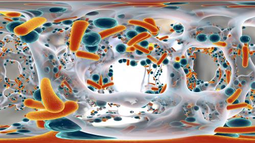 3D Illustration: 360-degree spherical panorama view inside biofilm of antibiotic resistant bacteria