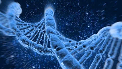 photo for forensic DNA data Camden story