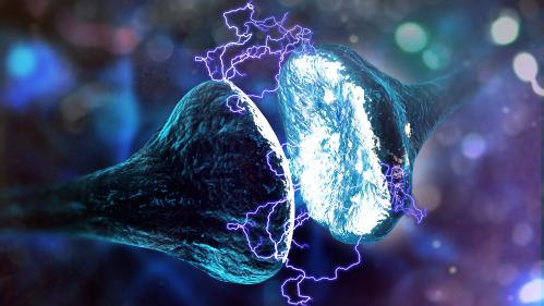 Synapse and Neuron cells sending electrical chemical signals
