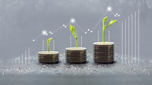 Trees growing on coins, save and growing finance