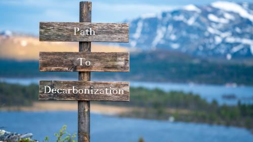 path to decarbonization text quote on wooden signpost outdoors in nature during blue hour.