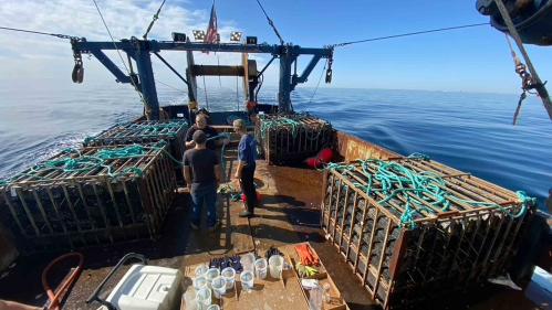 Equipment on the deck of a boat at sea that includes a crane and some wooden boxes containing clams