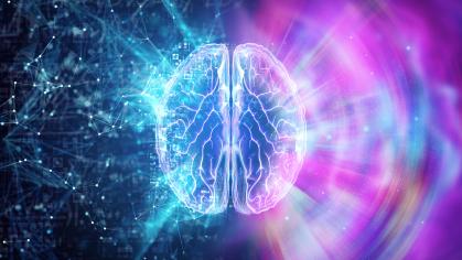 the human brain on a blue background, different hemispheres of the brain, 3D illustration,