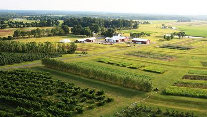 Rutgers Snyder Farm Tomato Tasting