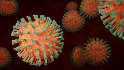 coronavirus3