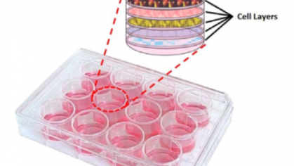 Multilayer Stackable Tissue Culture Platform for 3D Co-Culture
