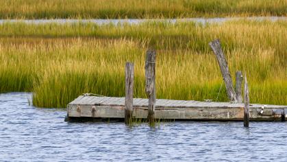 Marshland in the Delaware Bay, coastal New Jersey