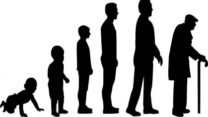aging evolution