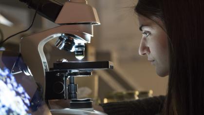 Researcher observing through microsope