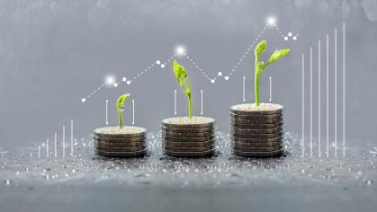 Trees growing on coins, save and growing finance