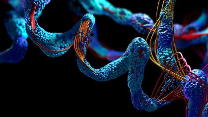 Chain of amino acid or bio molecules called protein - 3d illustration