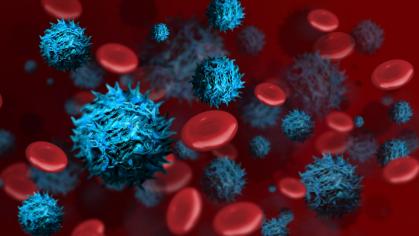 illustration of red blood cells and cancer cells