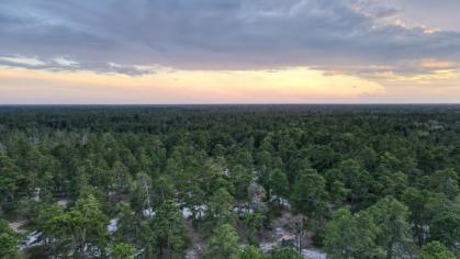 Aerial Photograph of the New Jersey Pine Barrens at sunset