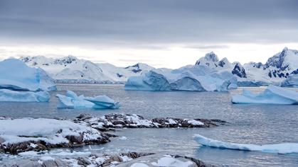 Icebergs floating in the bay in front of snow-covered mountains in Antarctica