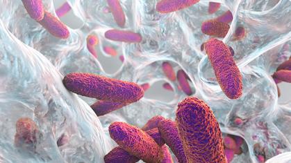 Biofilm containing bacteria Klebsiella, 3D illustration.