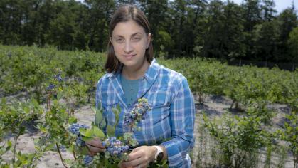 Gina Sideli, assistant professor of plant biology, works in the blueberry fields at the Philip E. Marucci Center for Blueberry and Cranberry Research.