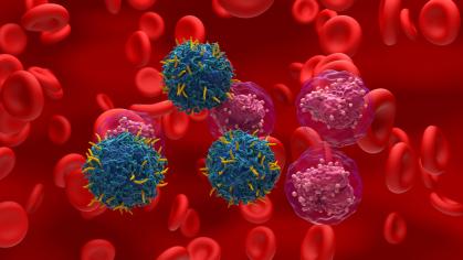 Red blood cells