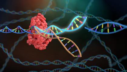 Crispr DNA Editor