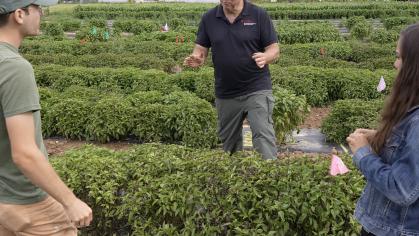 Jim Simon in the basil field teaching students