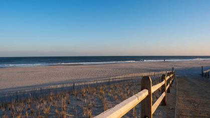 Seagrass plantings on the Atlantic Ocean