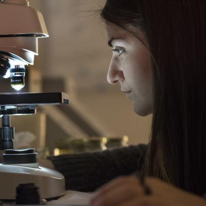 Researcher observing through microsope