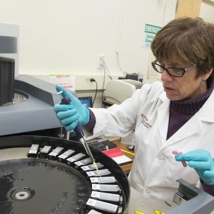 Researcher working with blood specimens