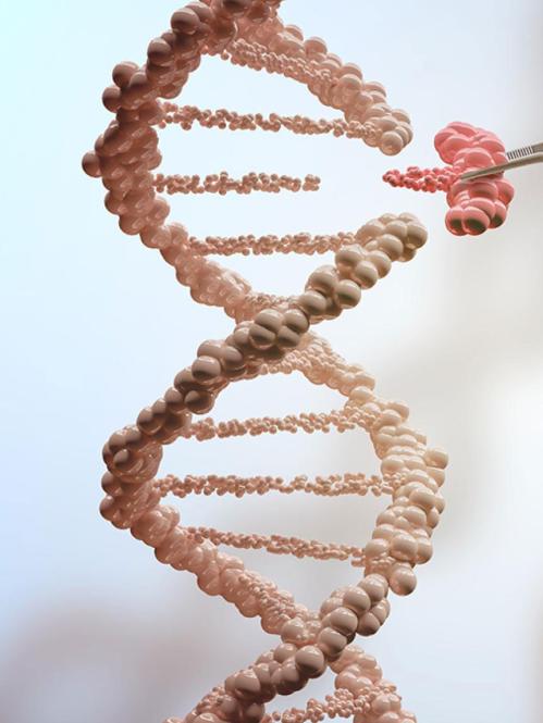 DNA Crispr