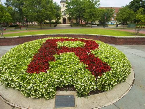 Rutgers Block R in Red Flowers