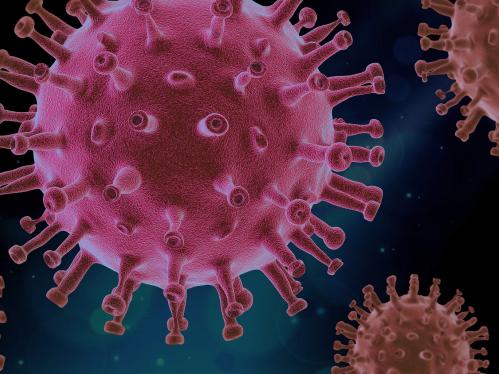 coronavirus