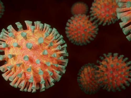coronavirus3