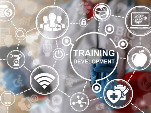 Training Development
