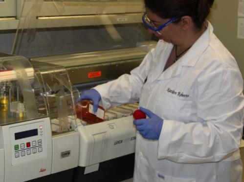 A female staff member operating research pathology equipment