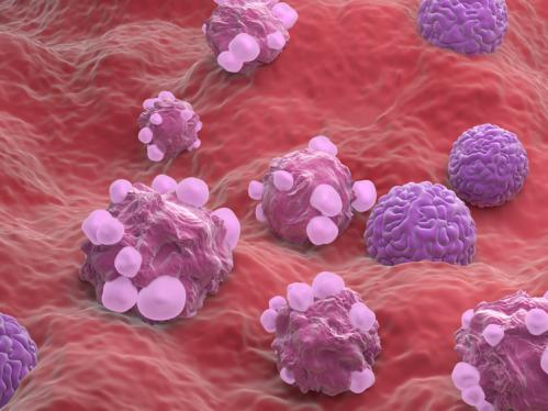 Cancer Cells