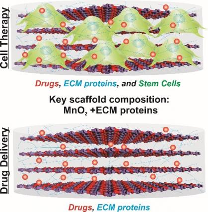 Illustrations of cell therapy and drug delivery