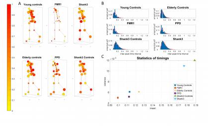 optimal lag maps and timing information from study