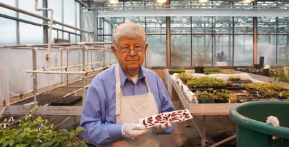 Rutgers strawberry breading with Professor Emeritus Gojiko Jelenkovic