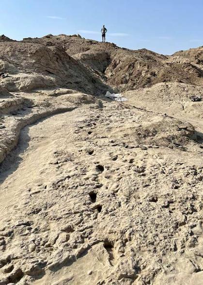 A fossil field with a person standing at the far background