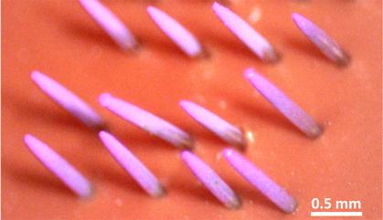 pink spindles oriented diagonally to the left against an orange background