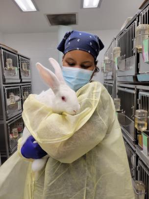 Vet Services for Bunny
