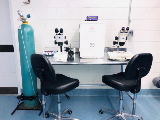 Work Table Microscopes