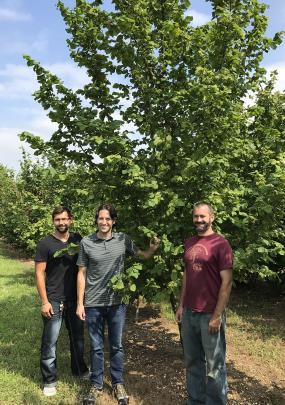 Emil Milan, Tom Molnar, and John Capik with The Beast™ Rutgers Hazelnut tree
