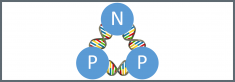 NPP logo
