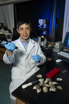 Dr. Ximing Guo, Rutgers shellfish breeder