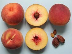 Rutgers Victoria Peach sliced